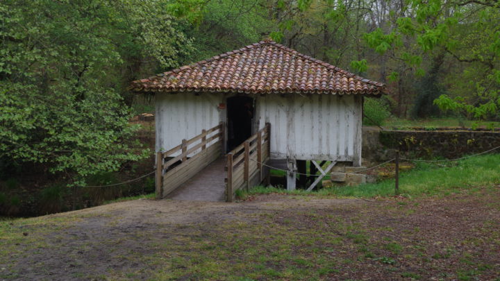 Sortie printemps 2026